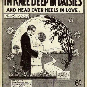Music sheet: I'm knee deep in daisies