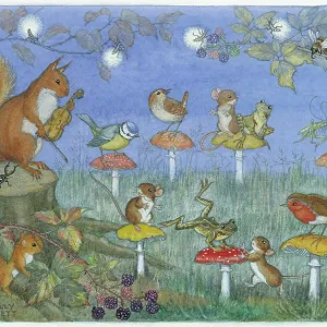 Musical Chairs with mice, birds, frogs etc and toadstool ch Musical Chairs with mice, birds, frogs etc and toadstool ch