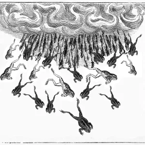 A mysterious Fall of Frogs