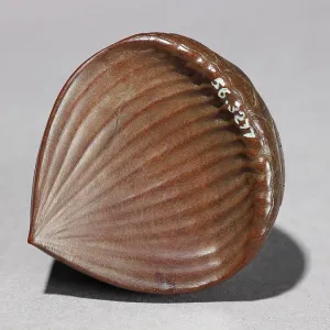 Netsuke in the form of a chestnut Netsuke in the form of a chestnut