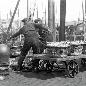 North Shields Landing the Herring early 1900s