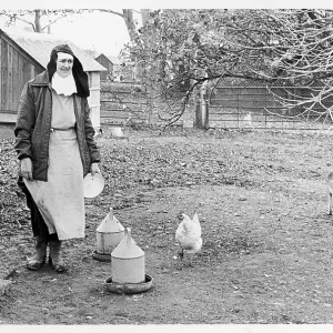 Nun in farmyard, Poor Clares Convent Nun in farmyard, Poor Clares Convent