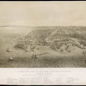 ODESSA BIRD'S EYE ODESSA BIRD'S EYE