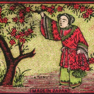 Old Japanese Matchbox label with cherry blossom Old Japanese Matchbox label with cherry blossom