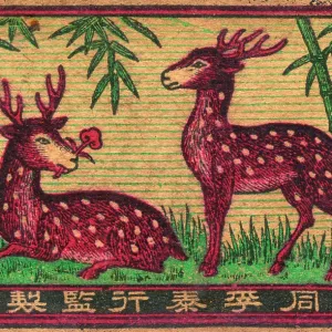 Old Japanese Matchbox label with two deer Old Japanese Matchbox label with two deer