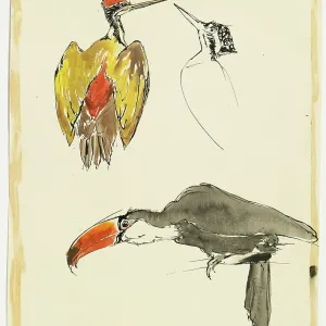 Original Textile design by Tanya Atkinson - birds Original Textile design by Tanya Atkinson - birds
