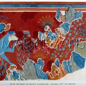 PALACE MINOS BLUE MONKEY PALACE MINOS BLUE MONKEY