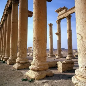 Palmyra, Syria - The Colonnade (close-up) Palmyra, Syria - The Colonnade (close-up)