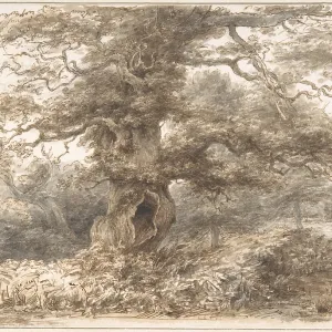 In the Park at Packington, late 18th?early 19th In the Park at Packington, late 18th?early 19th
