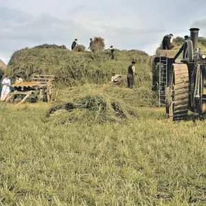 People harvesting in a field People harvesting in a field