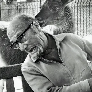 Photographer Paul Kaye greeted by friendly llama Photographer Paul Kaye greeted by friendly llama