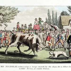 Pierce Egan's Anecdotes: bull-baiting by dogs Pierce Egan's Anecdotes: bull-baiting by dogs