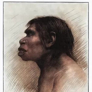 Piltdown Man