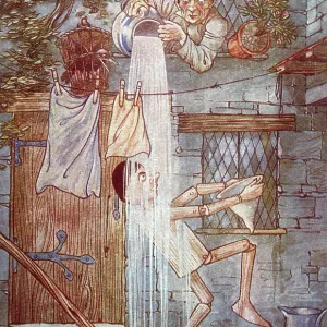 PINOCCHIO WATERED PINOCCHIO WATERED
