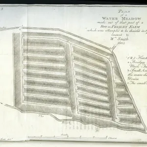 Plan of a Water-Meadow made out of part of a Bog Plan of a Water-Meadow made out of part of a Bog