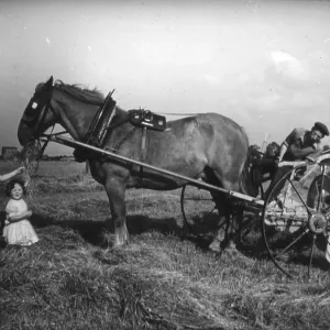 PLOUGHING WITH HORSE PLOUGHING WITH HORSE