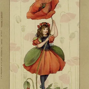 Poppy fairy Poppy fairy