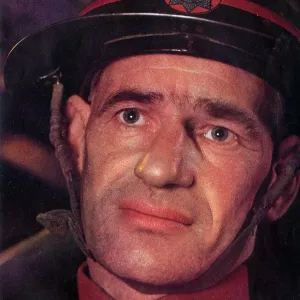 Portrait - A Professional Fireman Portrait - A Professional Fireman