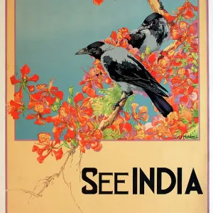 Poster advertising India, the Land of Sunshine and Colour