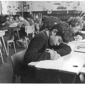 PRIMARY SCHOOL TEST PRIMARY SCHOOL TEST