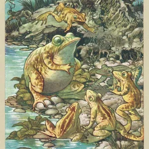 PROUD FROG (FOLKARD) PROUD FROG (FOLKARD)