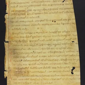 Psalter (Fragment) Psalter (Fragment)