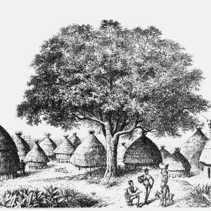 RACIAL/N AFRICA/BONGO RACIAL/N AFRICA/BONGO