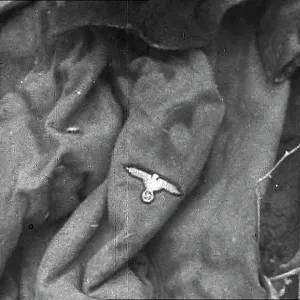 The Rags Supposedly From the Corpse Of Fuhrer The Rags Supposedly From the Corpse Of Fuhrer