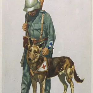 RED CROSS DOG AND MAN RED CROSS DOG AND MAN