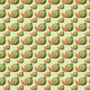 Repeating Pattern - Watermelons Repeating Pattern - Watermelons