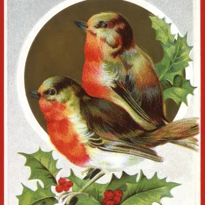 Robins and Holly - Christmas Card