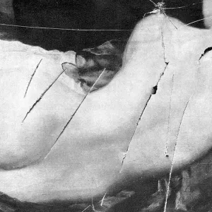 The Rokeby Venus before restoration The Rokeby Venus before restoration