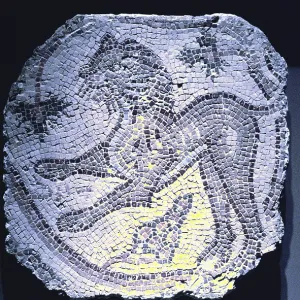 Roman mosaic Roman mosaic
