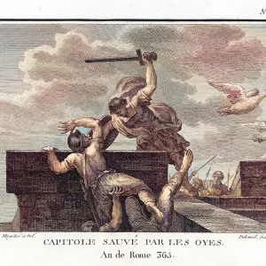 Rome saved from Gauls by geese