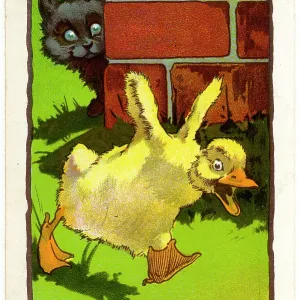 ROUNTREE DUCKLING 1