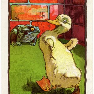 ROUNTREE DUCKLING 2