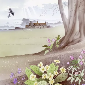 Rural scene with primroses Rural scene with primroses