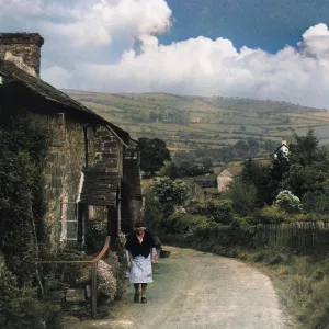 RURAL SCENE/RADNORSHIRE RURAL SCENE/RADNORSHIRE