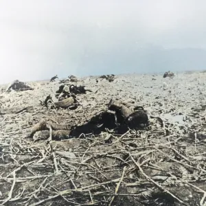 Russo-Japanese War, Aftermath of an Offensive