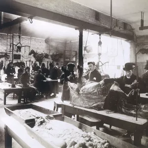 RVC/DISSECTING ROOM
