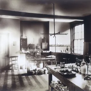 RVC/INNER PATHOLOGY LAB