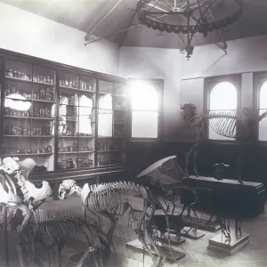 RVC/MUSEUM 1891