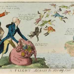 Satirical cartoon, A Flight across the Herring Pool Satirical cartoon, A Flight across the Herring Pool