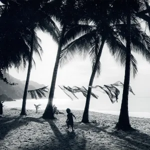 Scene on a beach, Tobago, West Indies Scene on a beach, Tobago, West Indies