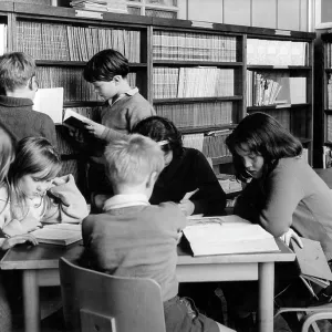 SCHOOL LIBRARY SCHOOL LIBRARY