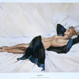 Siesta by David Wright Siesta by David Wright