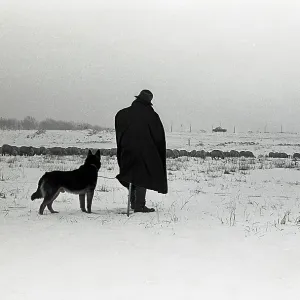 Silhouetted figure of a man and his dog Silhouetted figure of a man and his dog
