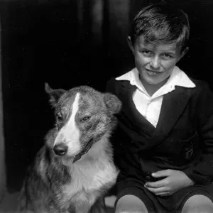 A smiling boy and his bull terrier dog A smiling boy and his bull terrier dog