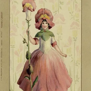 Snapdragon fairy Snapdragon fairy