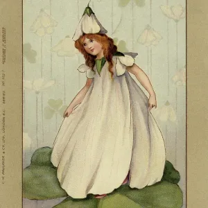 Snowdrop fairy Snowdrop fairy